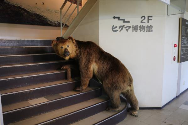 七月游日本一花甲老人自由行游记