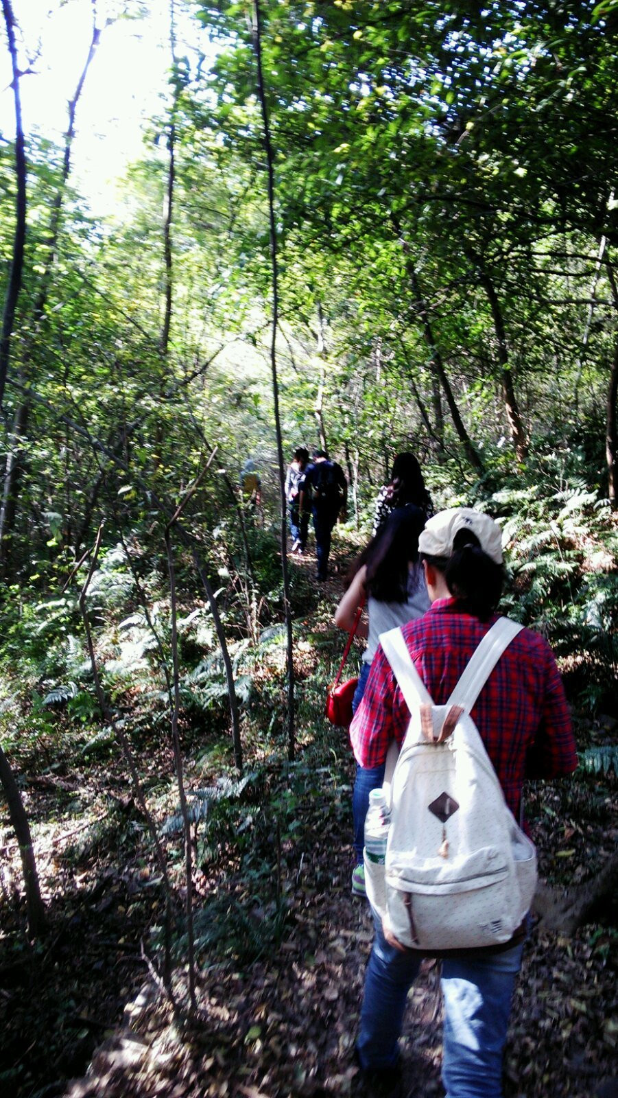 紫金山探险