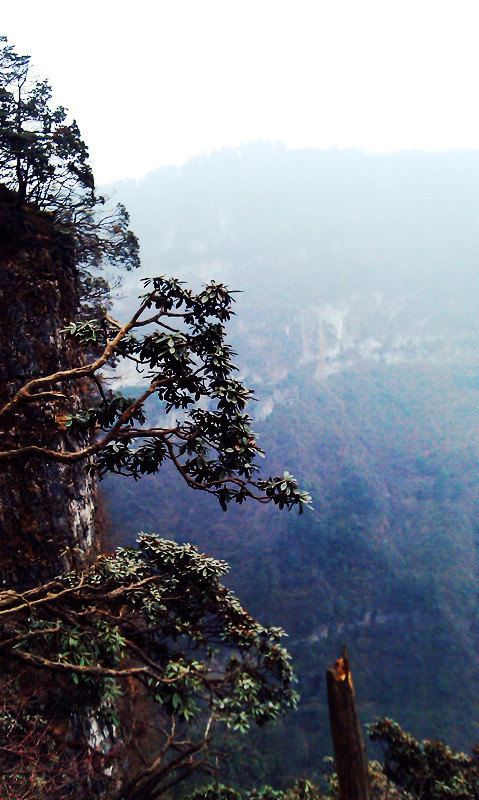 踏上川蜀之地—乐山,峨眉山