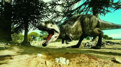 霸王龙大战特暴龙图片