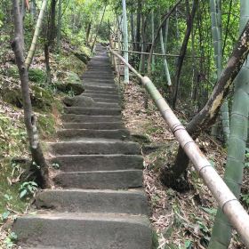 白水仙门票,遂川白水仙攻略/地址/图片/门票价格