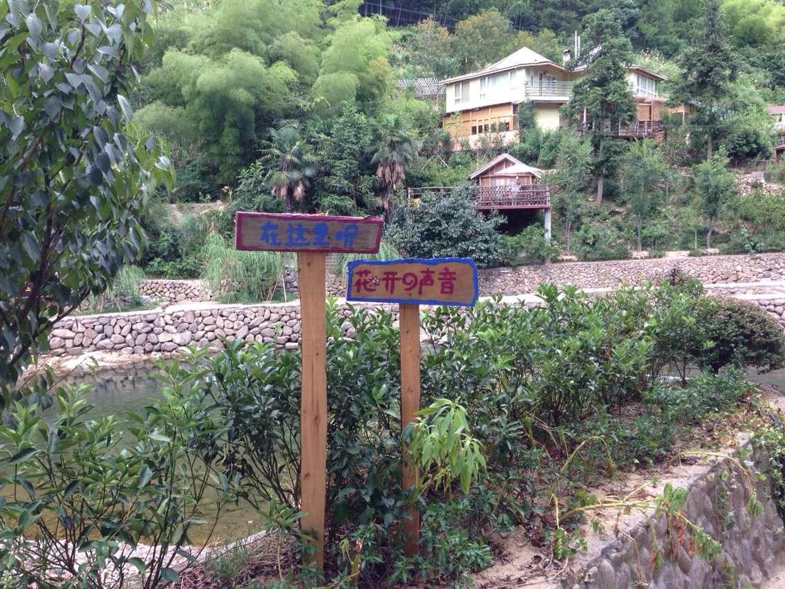 石舍香樟