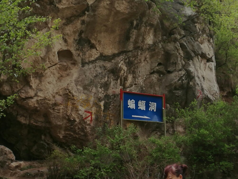 灵丘转塔和桃花山一日