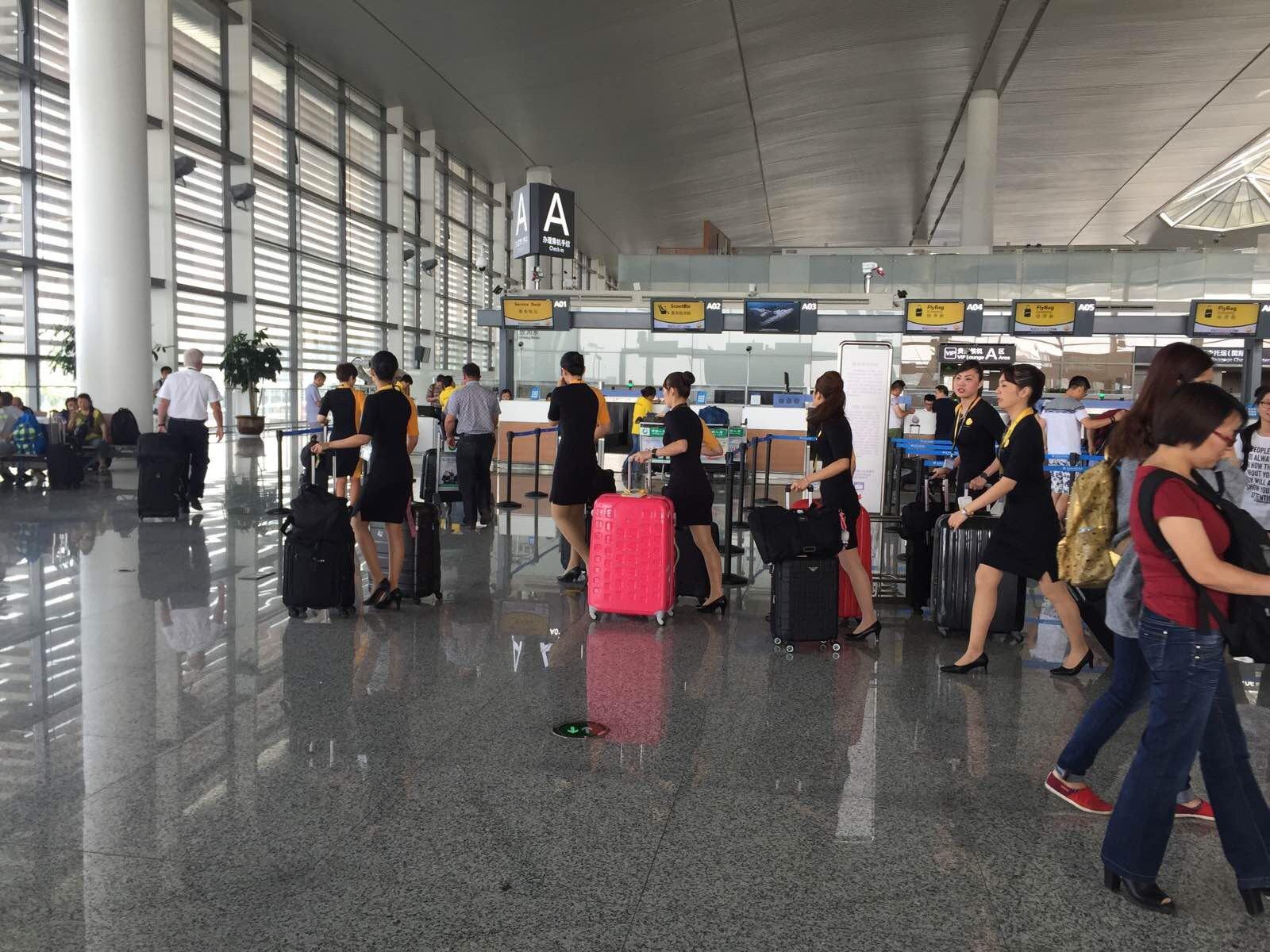机组人员,悄悄来一张,貌似返程也是这个白发机长 南京禄口国际机场