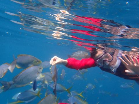 壁纸 动物 海底 海底世界 海洋馆 水族馆 鱼 鱼类 桌面 1600_1200