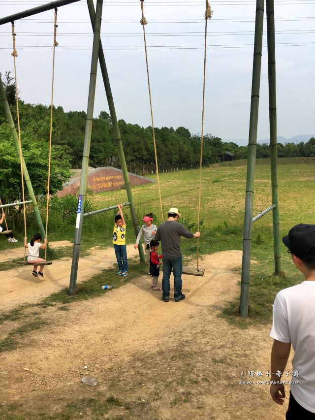 其实玩中南百草园,每一项都要玩的话,一天是根本不够的!