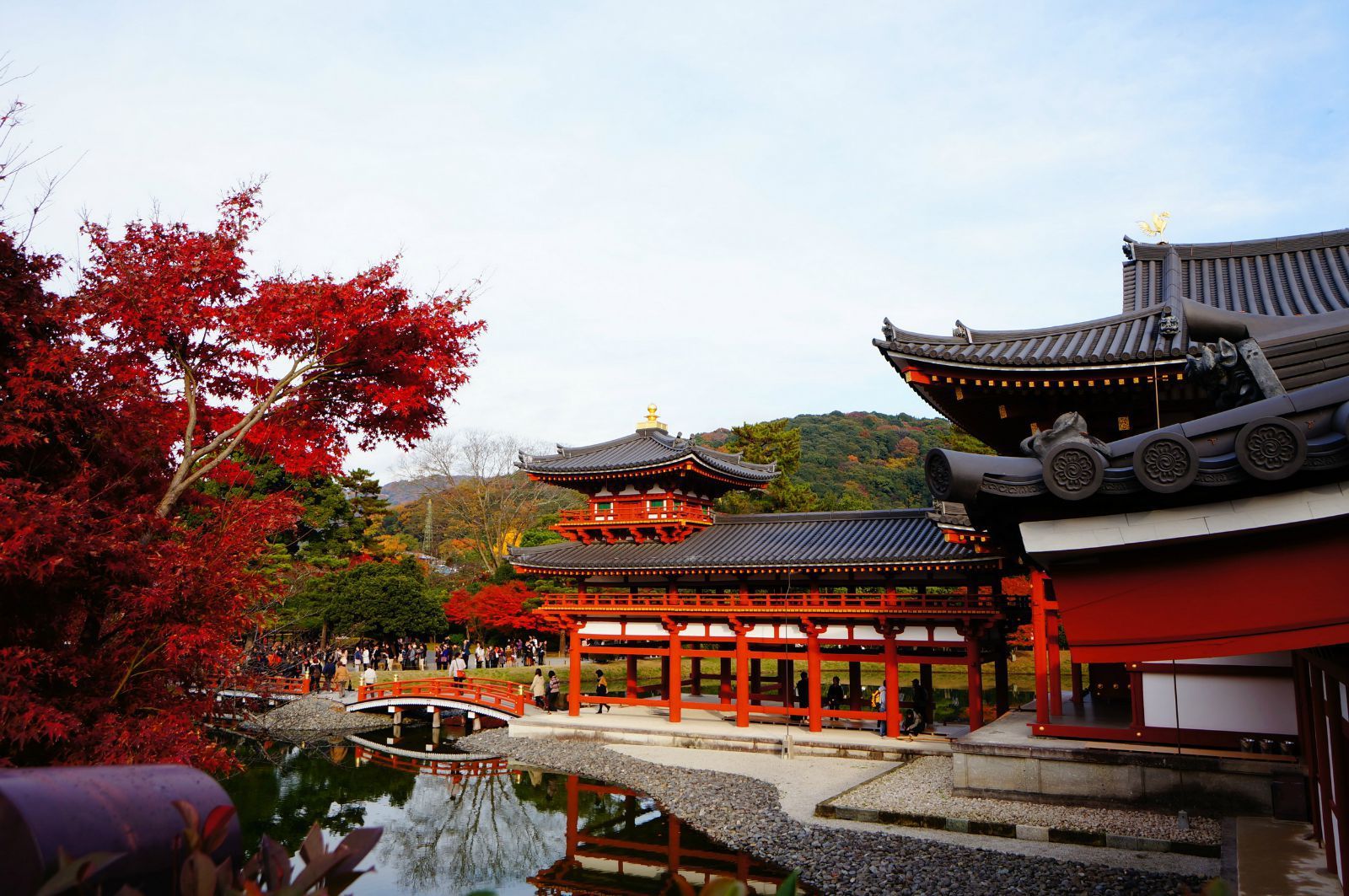 凤凰堂背面. 平等院