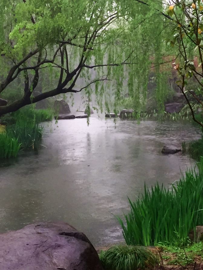 烟花三月,春雨飘飘,偷闲又去了一趟杭州,感觉好极了