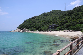 柚柑湾|深圳最美的农家之一海滩花园别墅普东镇图片