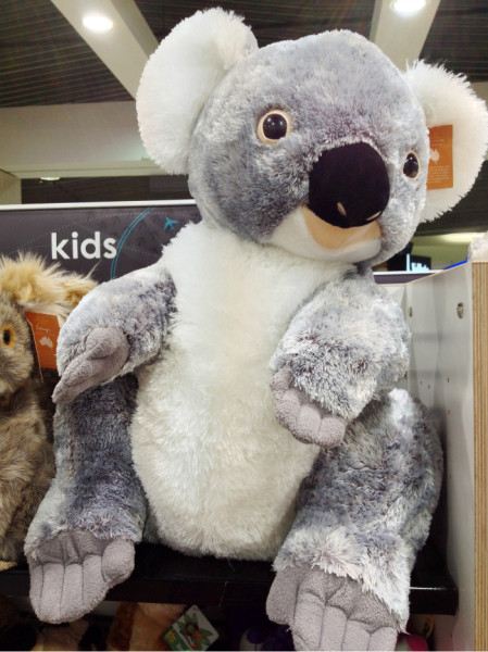 澳大利亚情侣9日游 小资摄影跟团游攻略 附海