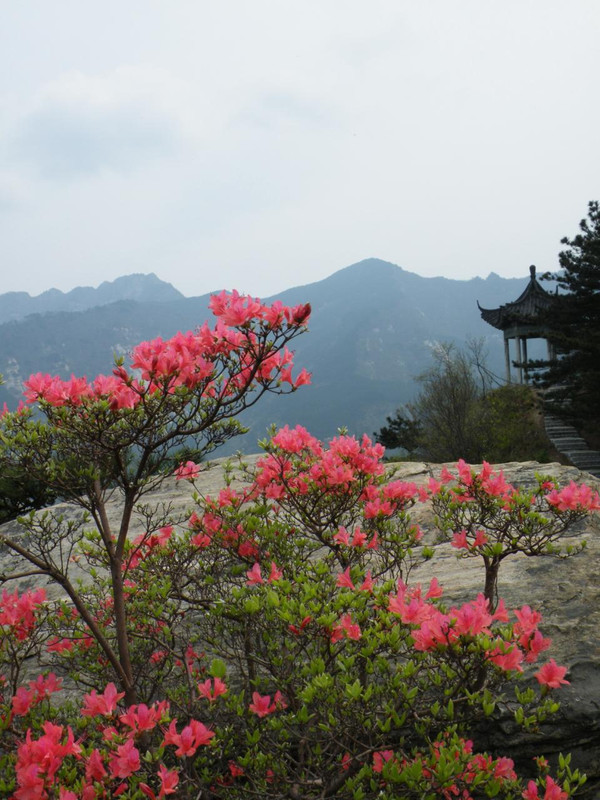 商城——大别山深处的绿色明珠