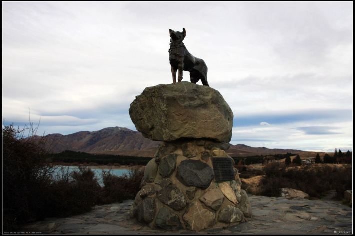 5月情侣新西兰9日跟团小资摄影自由行,玩遍天