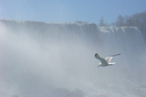 夷14天自助组团详细记录 纽约旧金山洛杉矶拉