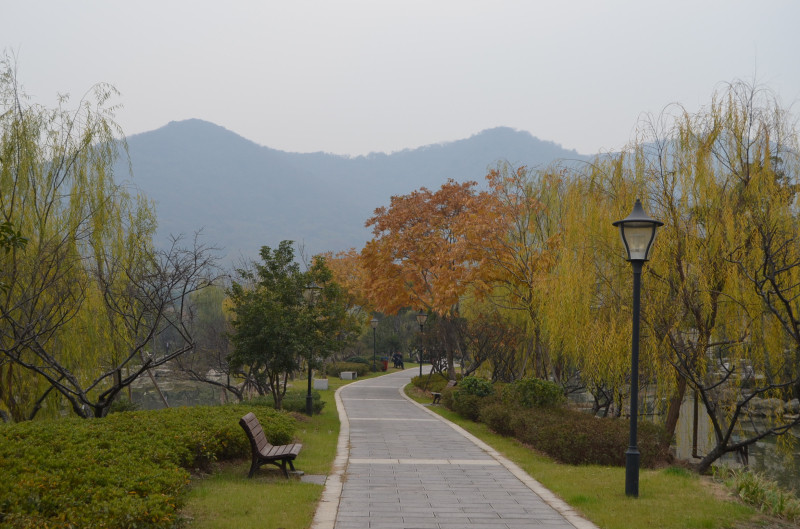 2013年12月14日,杭州(塘栖古镇,超山)