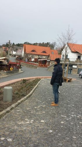 捷克 奥地利 匈牙利 10日携程4钻团 3月蜜月行