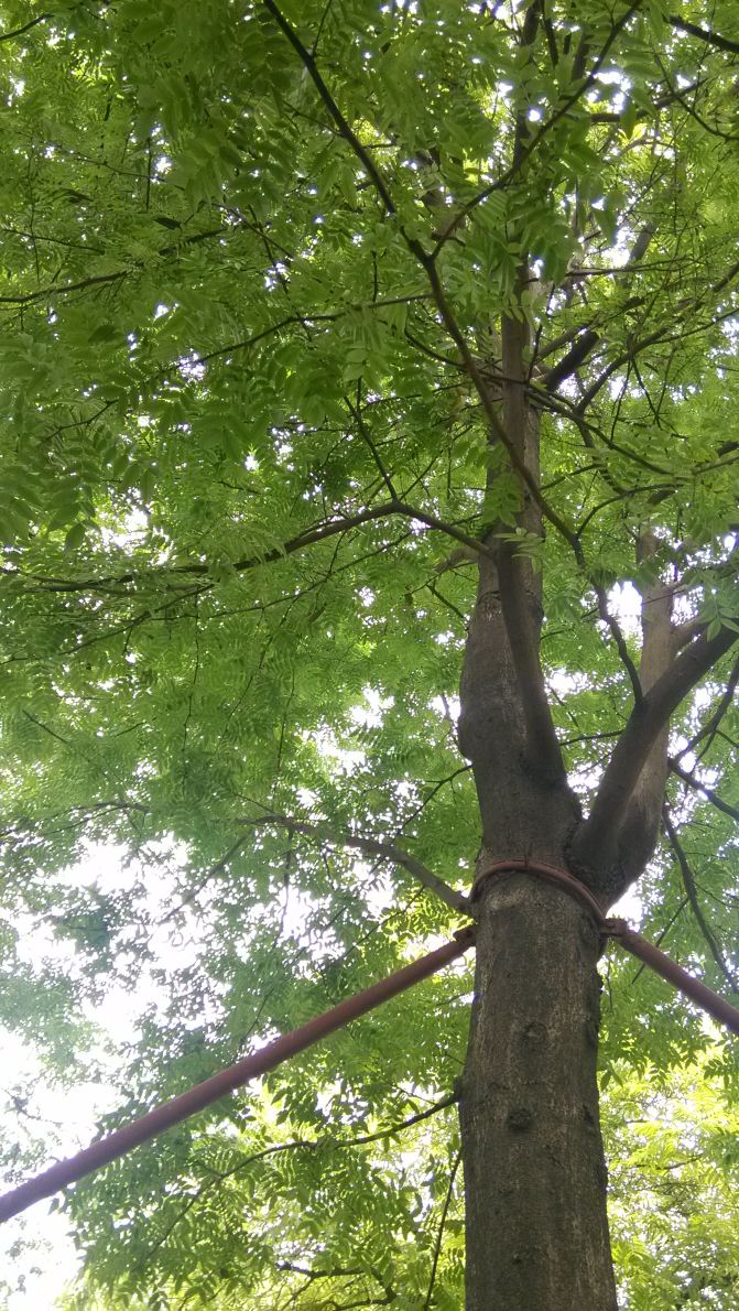 1700元游浙江(有预算表、行程单、决算表,Exc