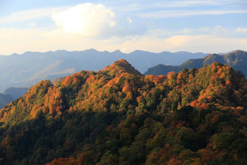 光雾山,属于大巴山脉,紧邻汉中,秋日的光雾山,五彩斑斓.