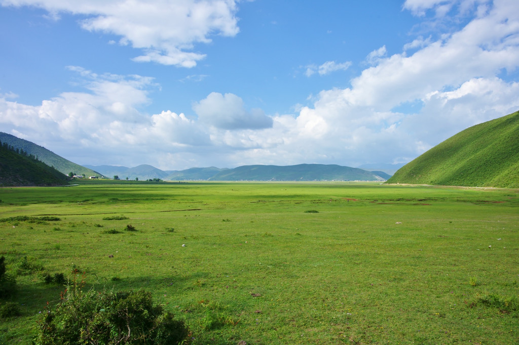 纳帕海依拉草原】