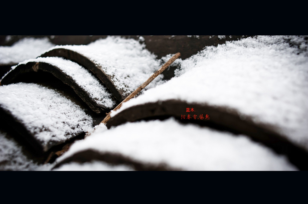 阳春雪.锡惠