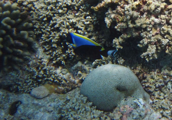 一岛一酒店--麻袋kurumathi蜜月游 - 马尔代夫游