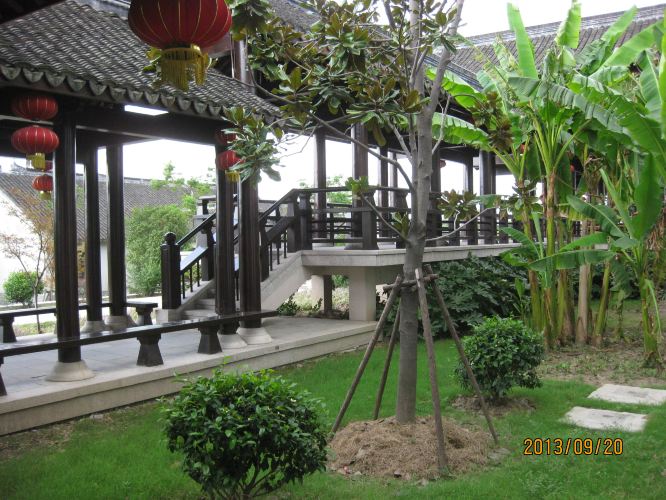 中秋节上海带父母周边近郊金山3天2晚休闲美