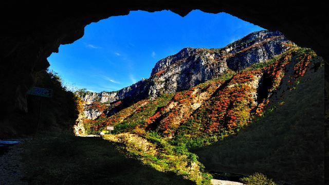 曾家山人口_广元曾家山