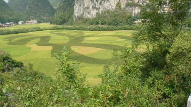 地图上画一条线,向西游(安徽九华山-贵州镇远黄