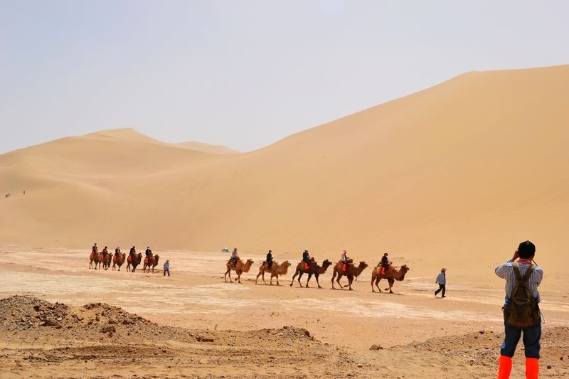 地理中国 奇居地·荒漠中的奇迹