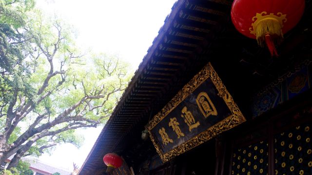 大圆通殿门票,普陀山大圆通殿攻略/地址/图片/门票