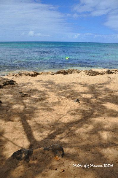 海水正蓝--夏威夷自由行 - 夏威夷游记攻略【携