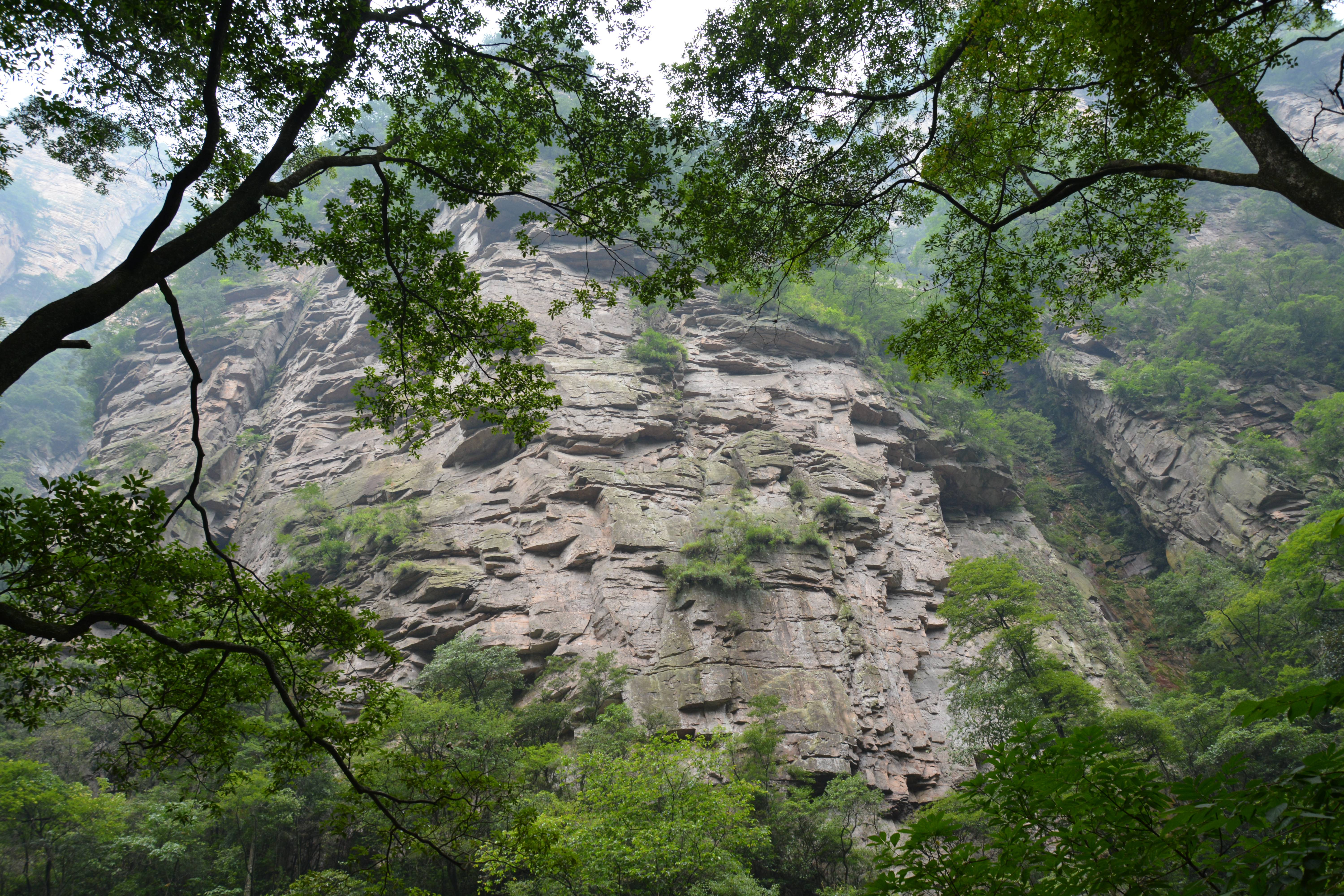 东沟大峡谷,山势陡峭,峡谷幽深,奇峰异石突起,秀林