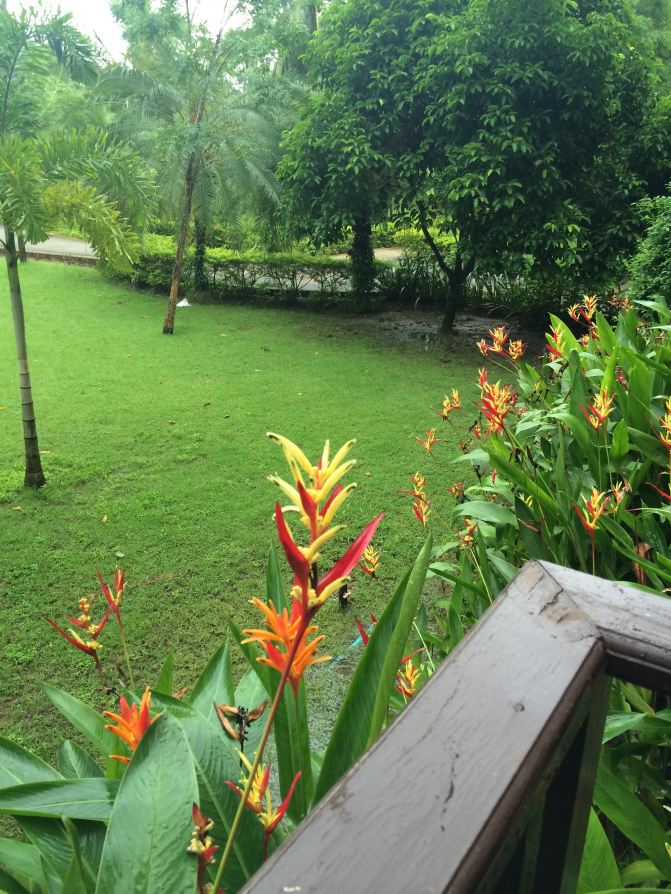 天宝成长记之泰国普吉岛+皇帝岛,超实用超详细