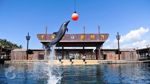 海南海口+三亚3日2晚跟团游·跟踪跑男第一线