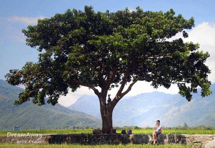 台湾两周情侣温馨小资自由行,景点齐全,美食之