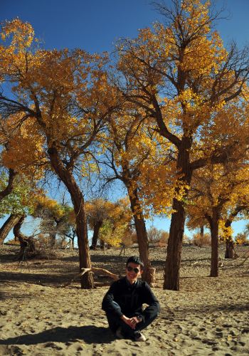 从额济纳到银川五日游 最美胡杨林摄影自由行