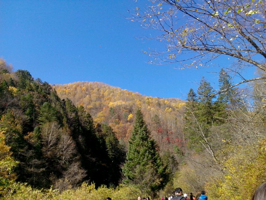 长白山三坡+十五道沟游览介绍(起点:二道白河镇)