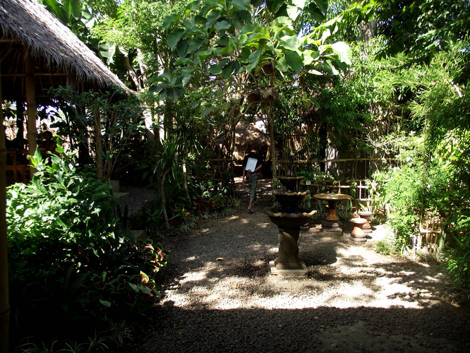 种植园品尝猫屎攻略-巴厘岛攻略咖啡【携程攻福清到浙江自驾游游记图片
