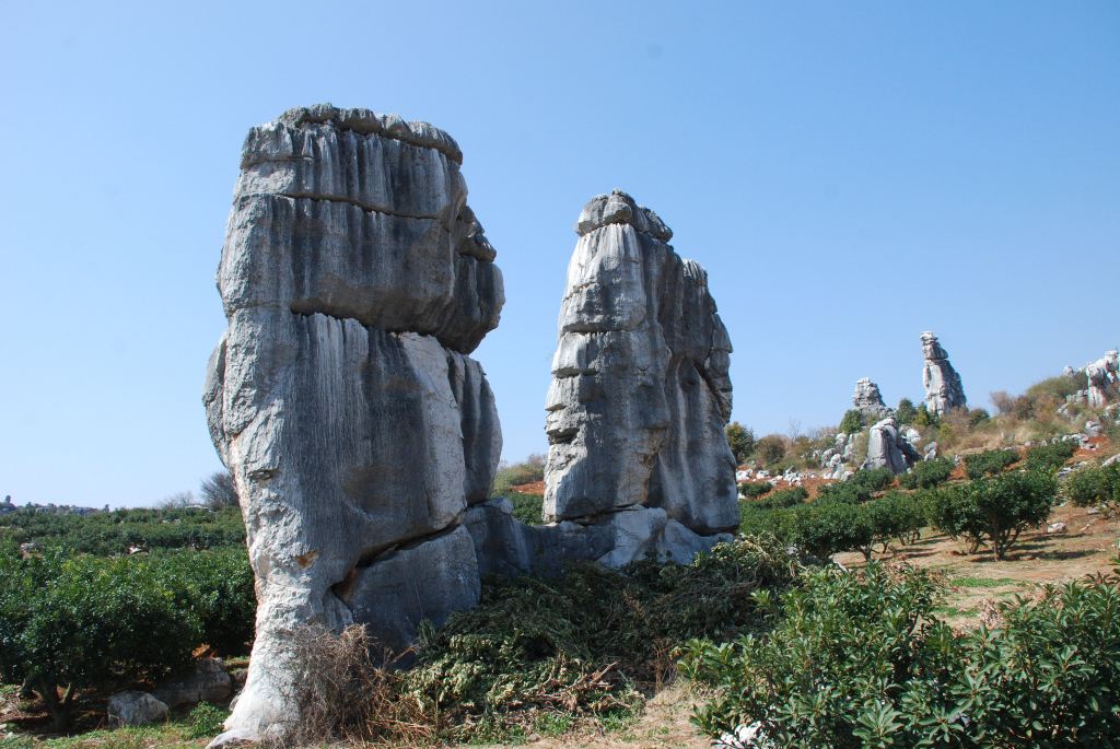2014ԼΡ˫---ʯַ羰