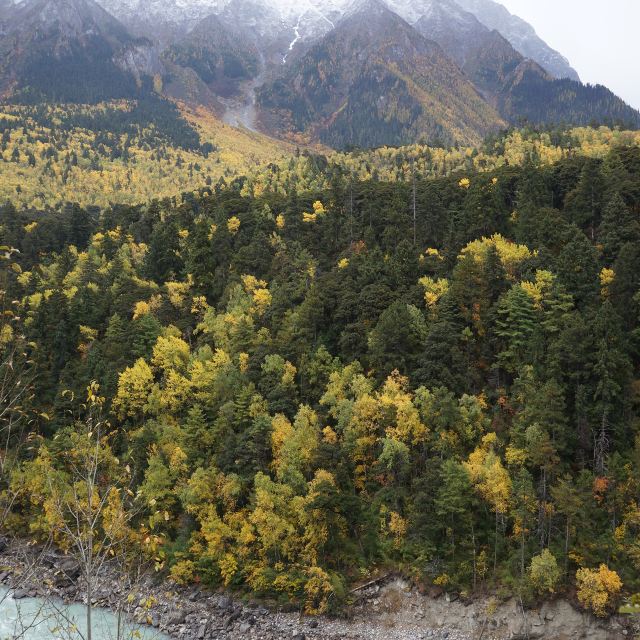 六十乘六十最便宜的地板砖多少钱一块?_微博