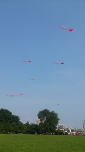 夏季小夫妻青岛三日自由行游记攻略 逛教堂八