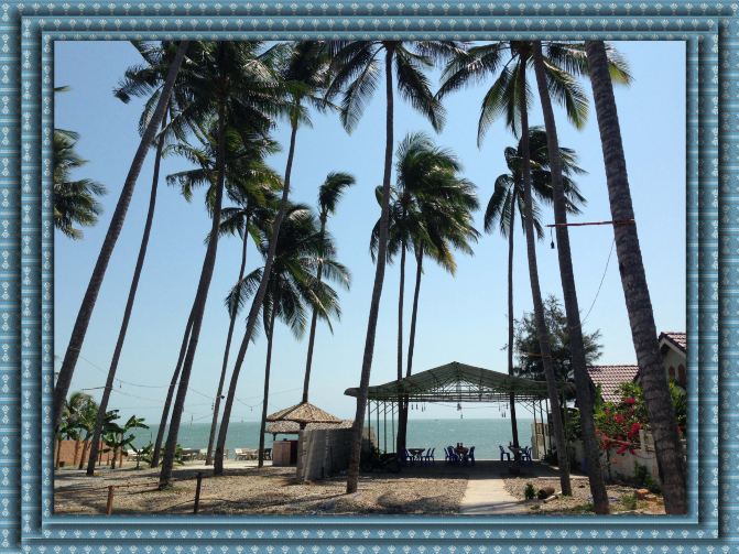 春节直航越南8天玩转胡志明市美奈芽庄全程自