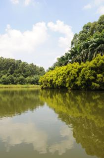 万万没想到 广州还有这么个好地方(四海马术游