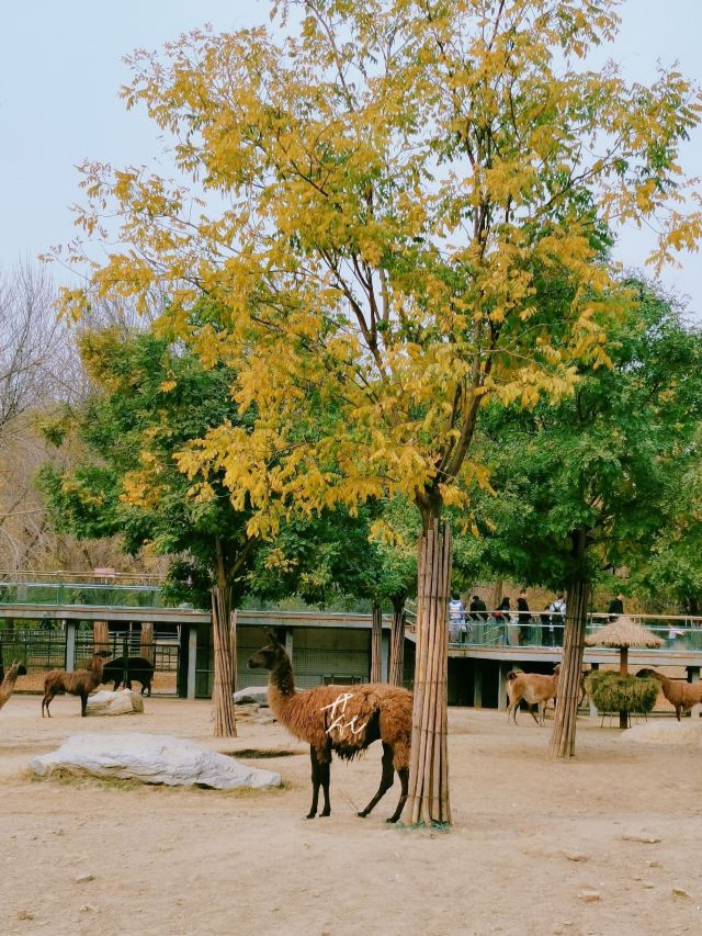 天津動物園