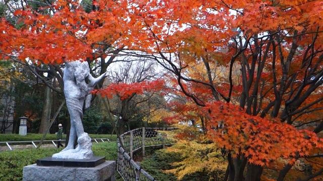 东京飞鸟山公园攻略 东京飞鸟山公园门票 游玩攻略 地址 图片 门票价格 携程攻略