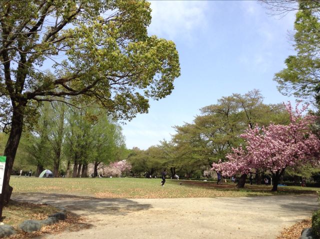 埼玉市大宮第二公園攻略 埼玉市大宮第二公園门票 游玩攻略 地址 图片 门票价格 携程攻略