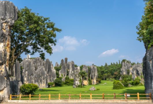 昆明石林风景区一日游【精选金牌导游+午餐+可选15人团】【[匠心品质]轻松亲子游家庭游，探秘石林的秘密，寻找天下第一奇观】