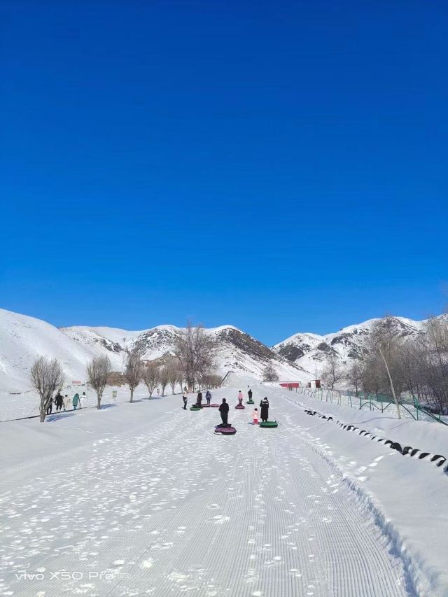 伊宁市阿勒玛滑雪场攻略,伊宁市阿勒玛滑雪场门票/游玩攻略/地址/图片
