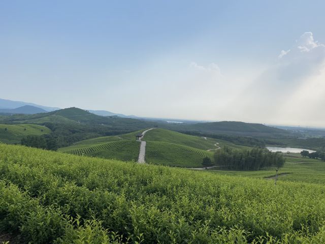 安徽郎溪大佛山养心谷