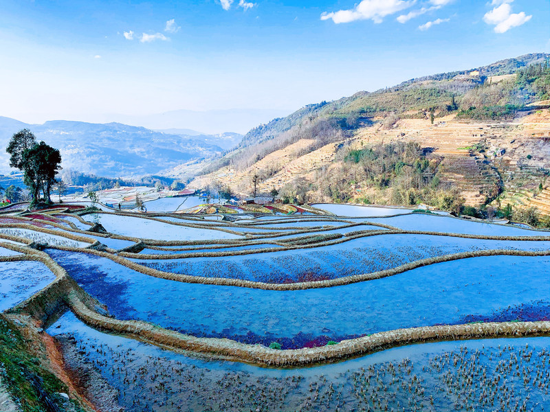 昆明旅游网