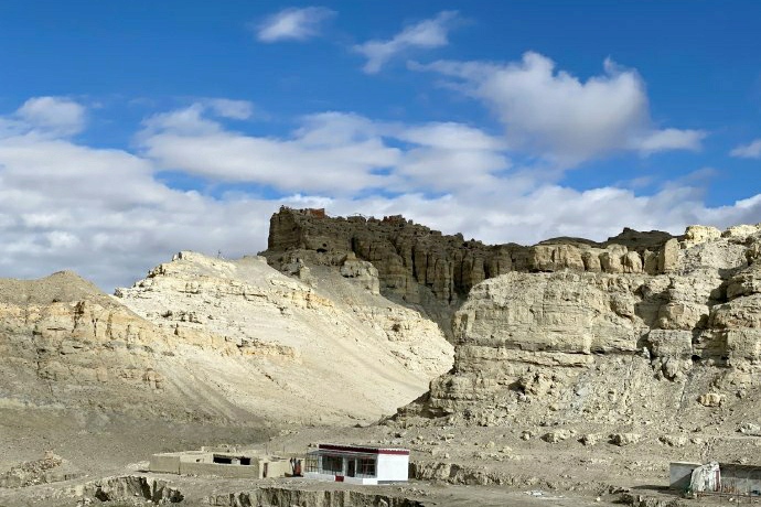 Tibet Ali Zanda soil forest